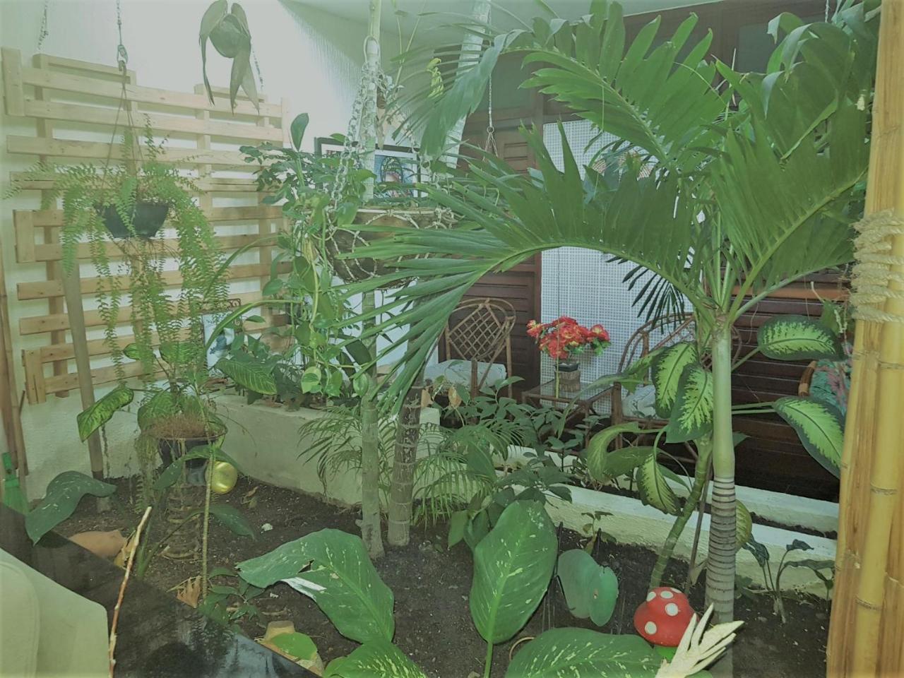 Pousada Terra Garrida Maceió Buitenkant foto